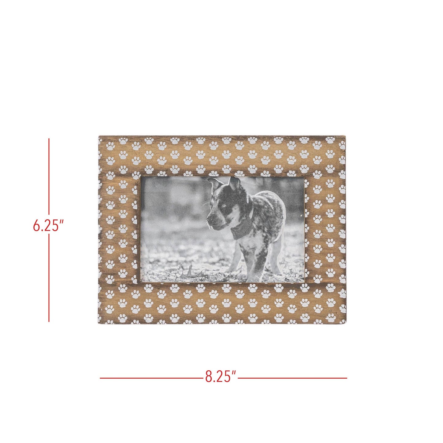 4x6 Pawprints Photo Frame