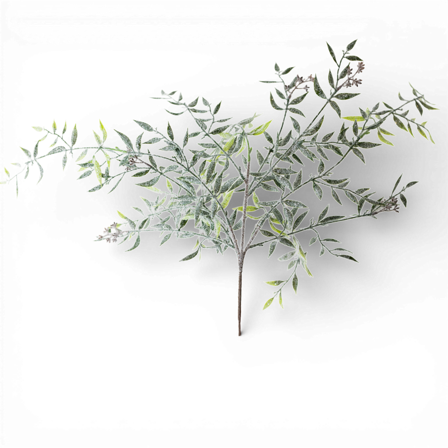 Eucalyptus Spray 15" x 3" x 32"