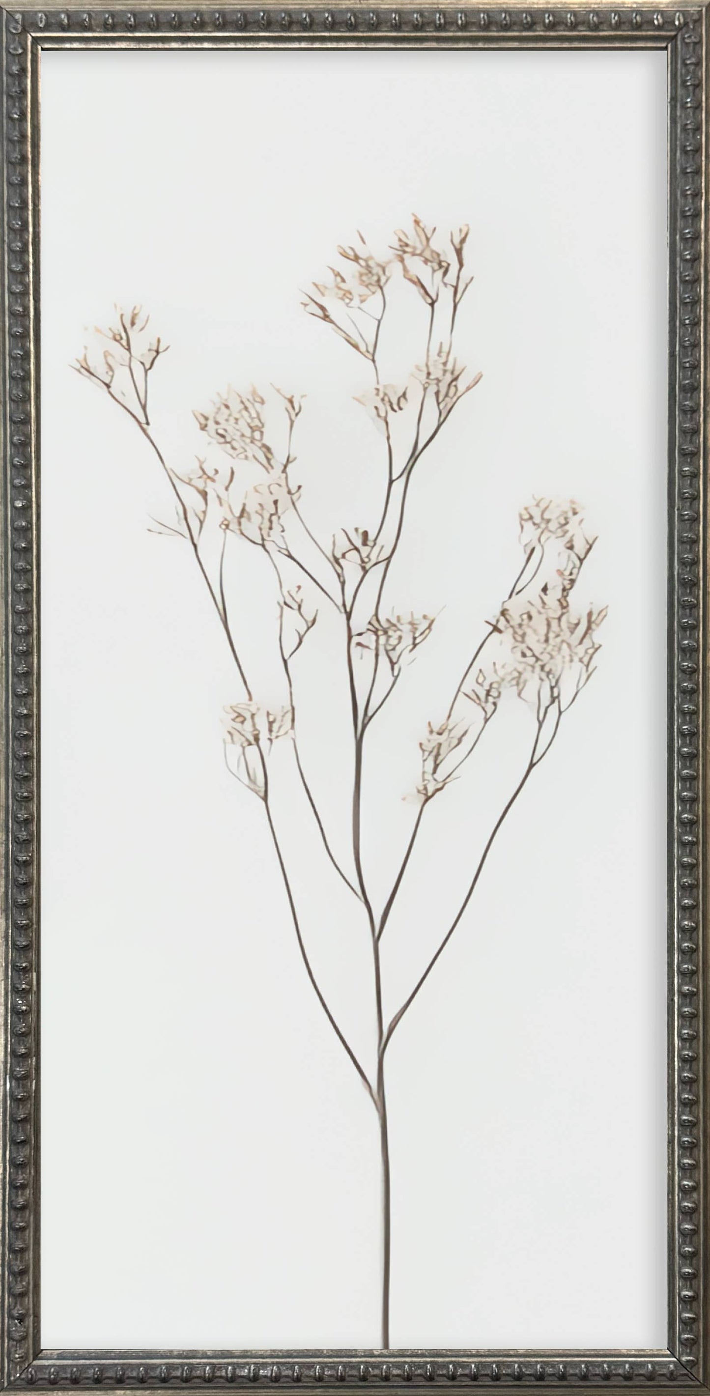 12x24 Whispy Botanical Silver Bead Gallery Frame