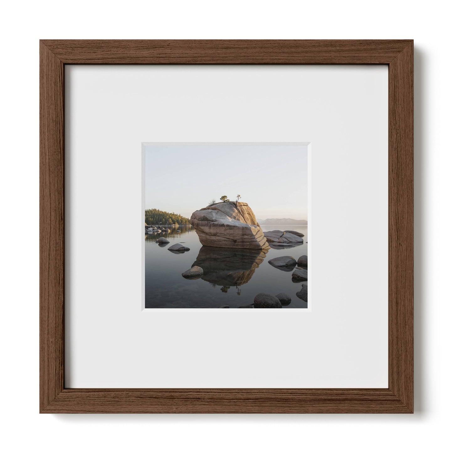 Walnut Square Oak Frame with Glass: 10x10
