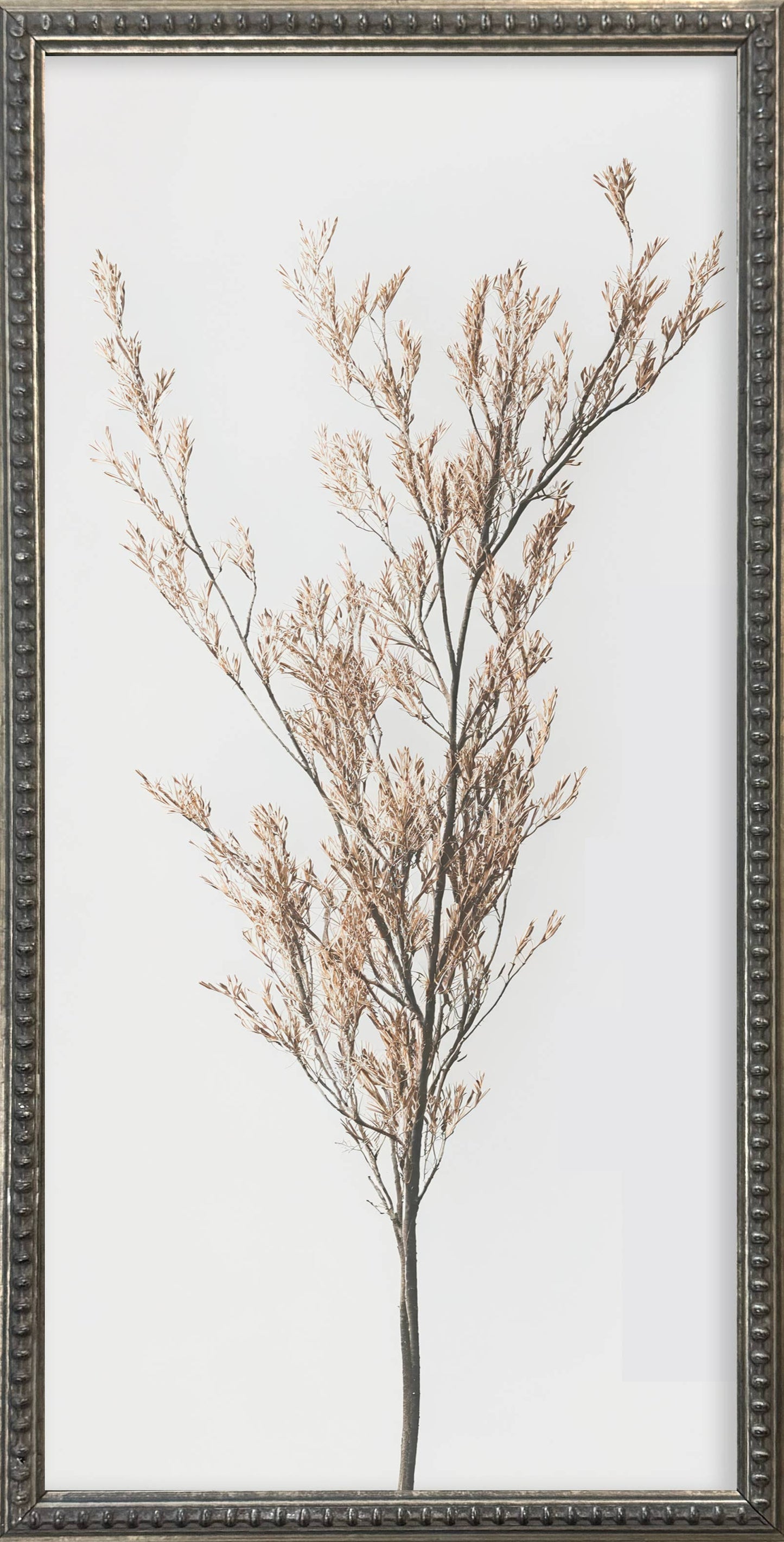 12x24 Whispy Botanical Silver Bead Gallery Frame