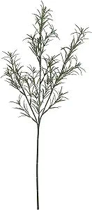 Rosemary Stem