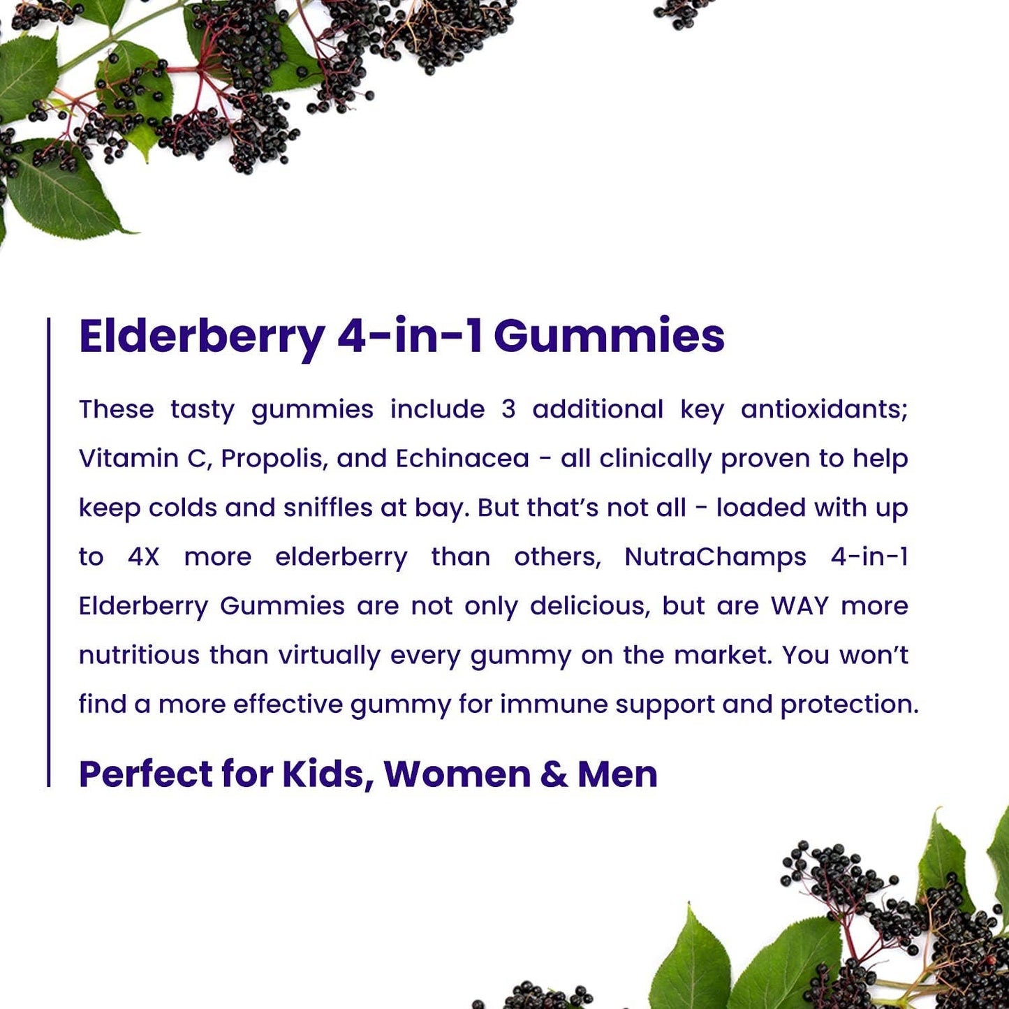 Elderberry Gummies - Immunity Protection