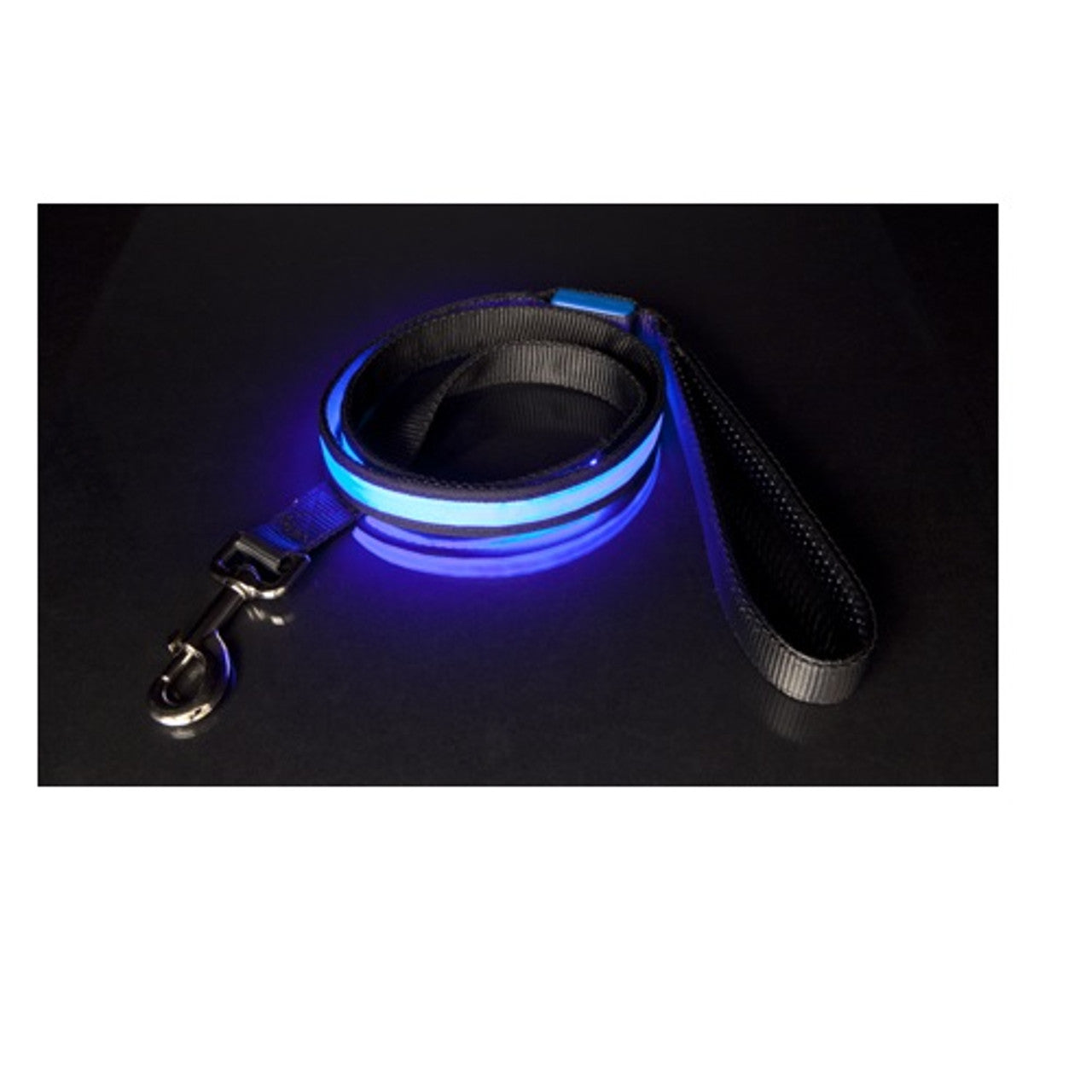 Light Up Pet Leash