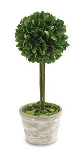 Single Boxwood Topiary