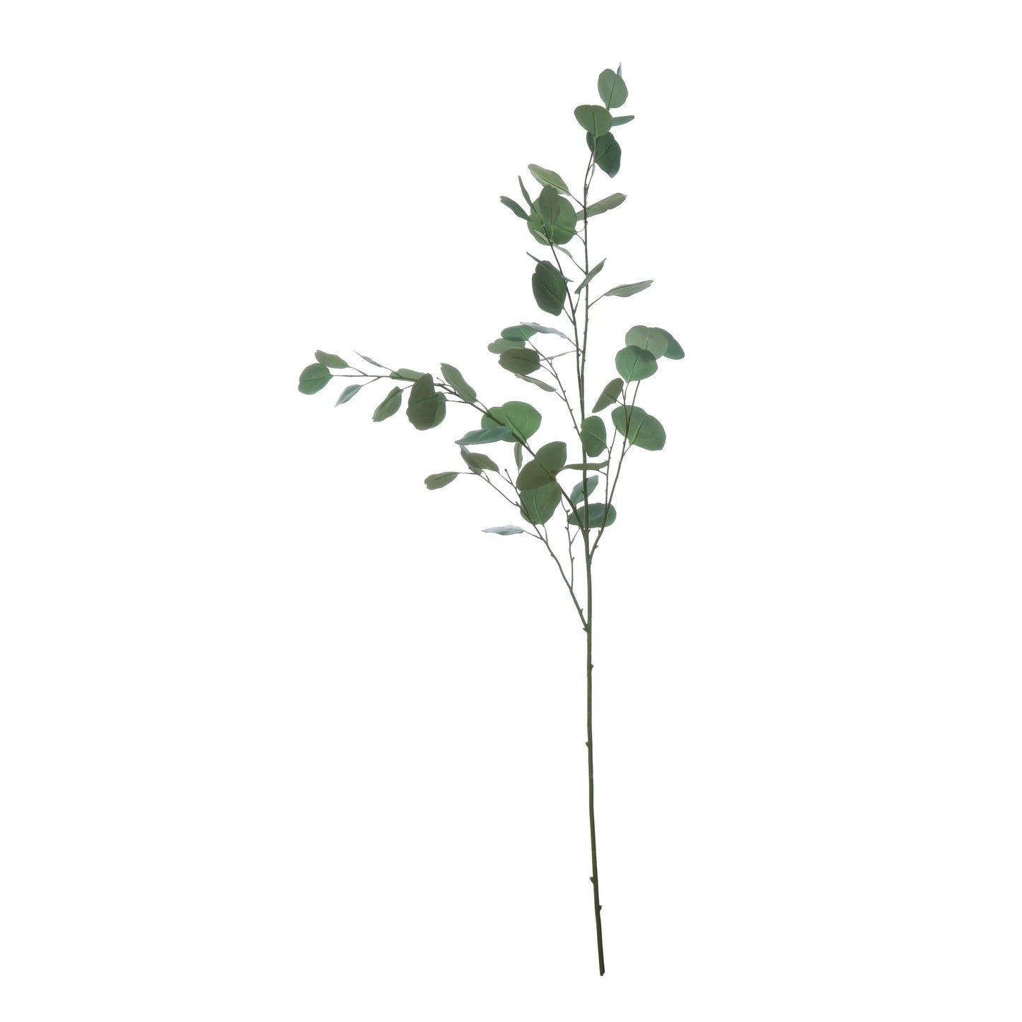 Eucalyptus Branch 54"