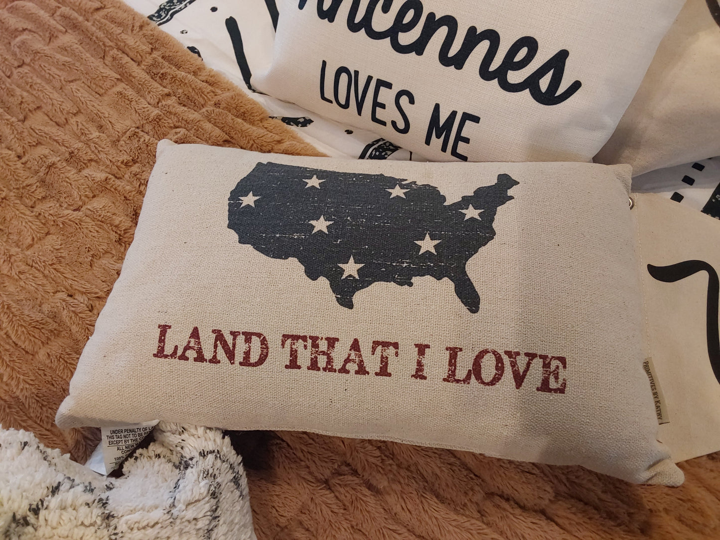 Land That I Love Pillow