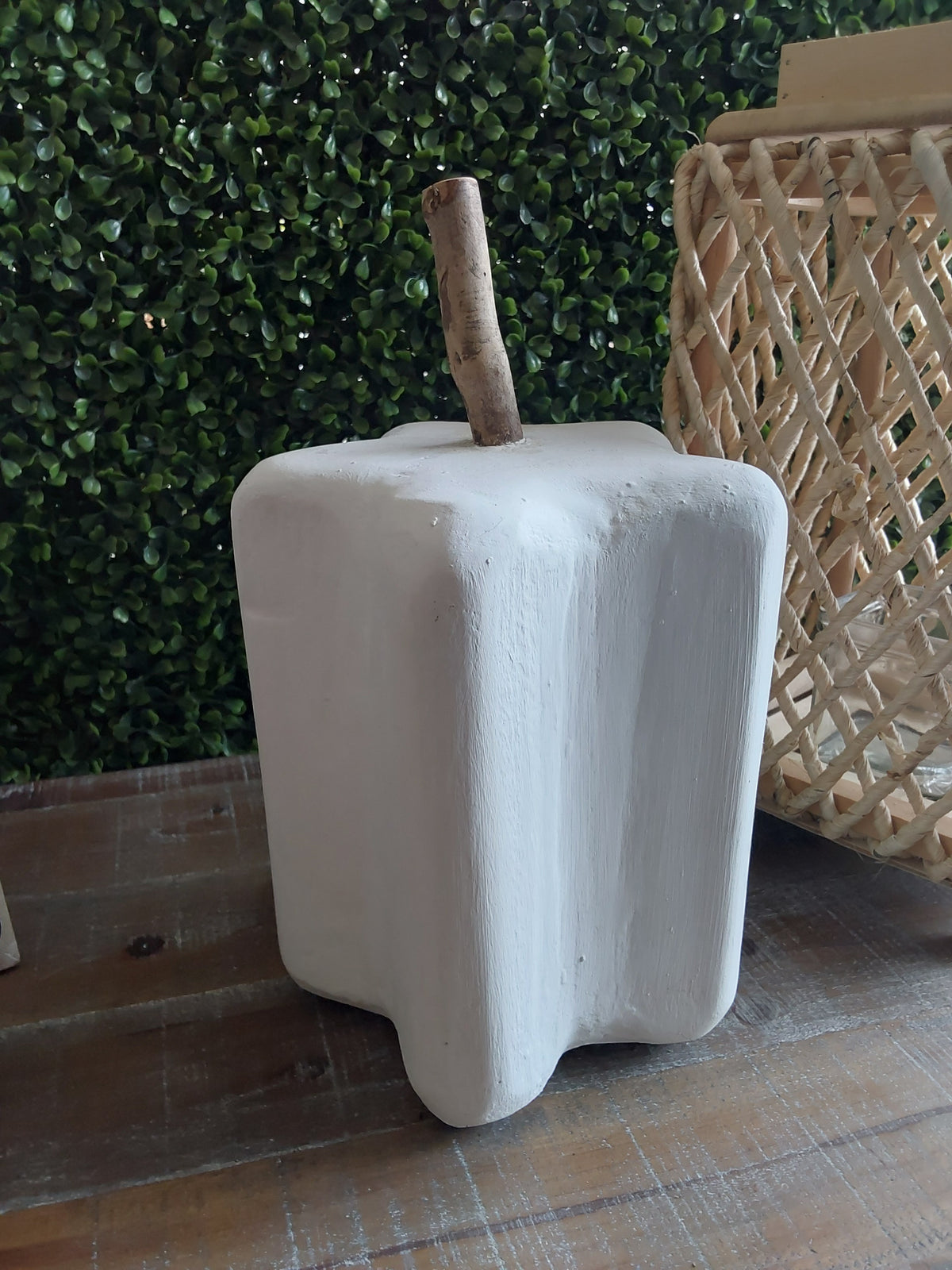 Tall White Paulownia Pumpkin