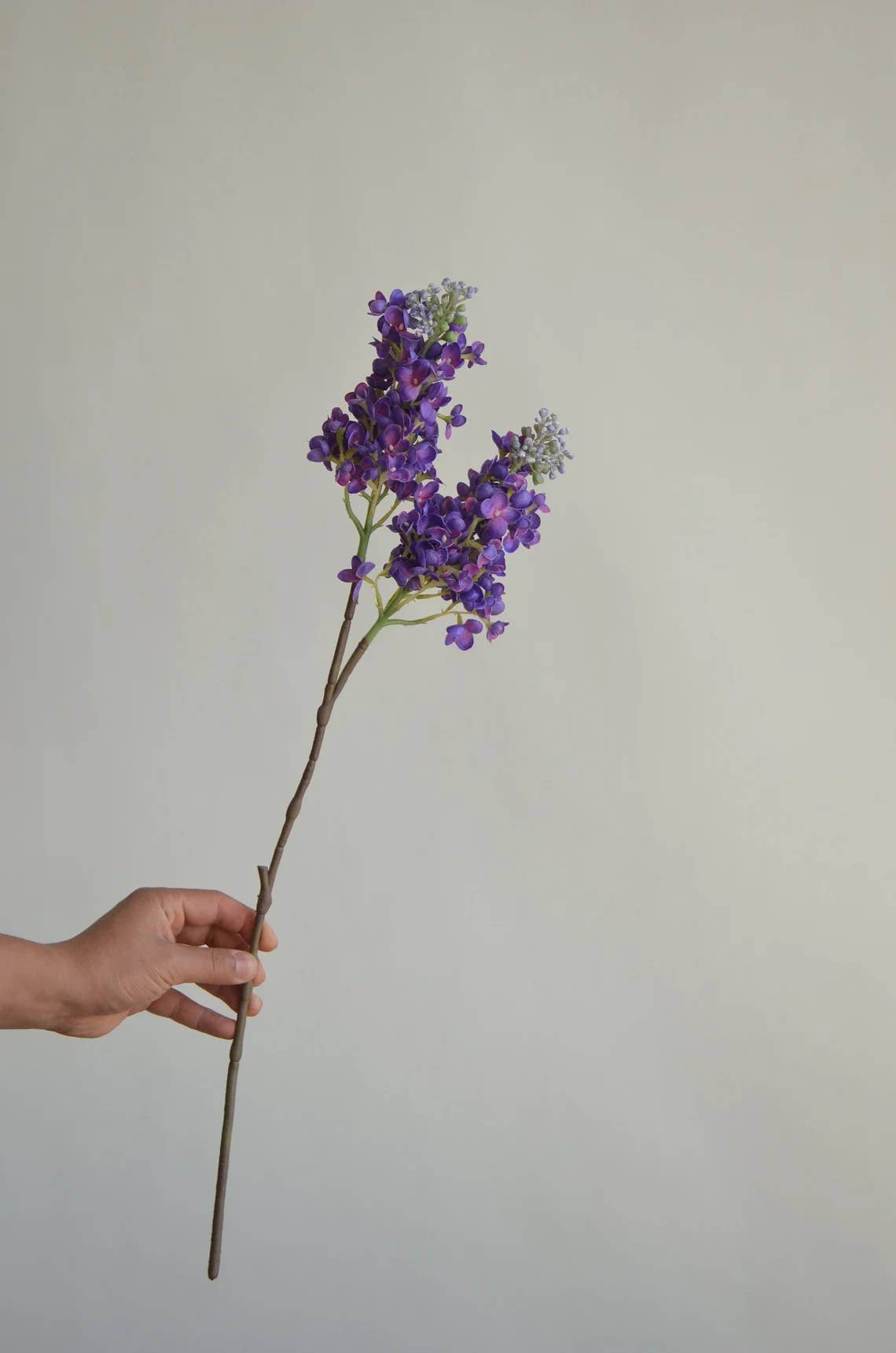 25"Real Touch Lilac-2 Sprays- Soft Film material finished