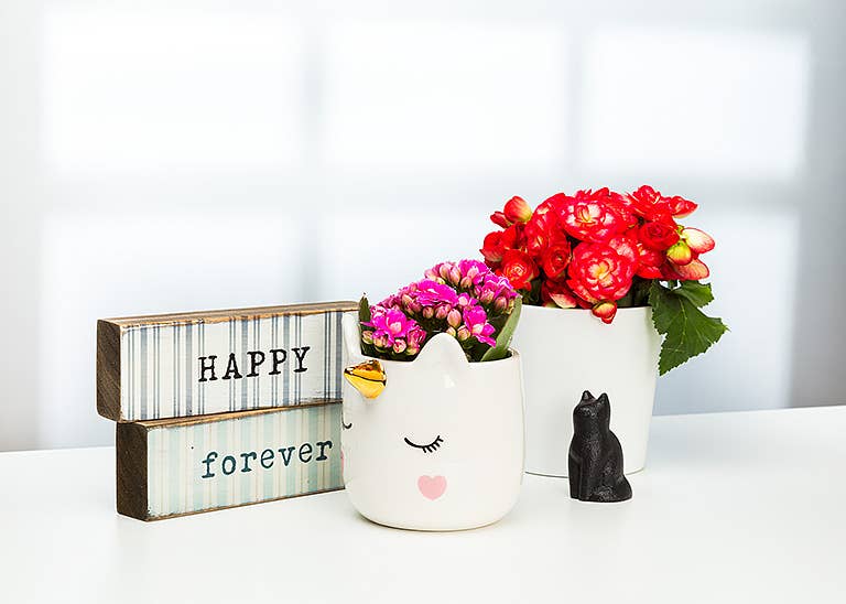 Mini Simple Cats-3Asst-Blk-1-2" L 1 Pcs Random