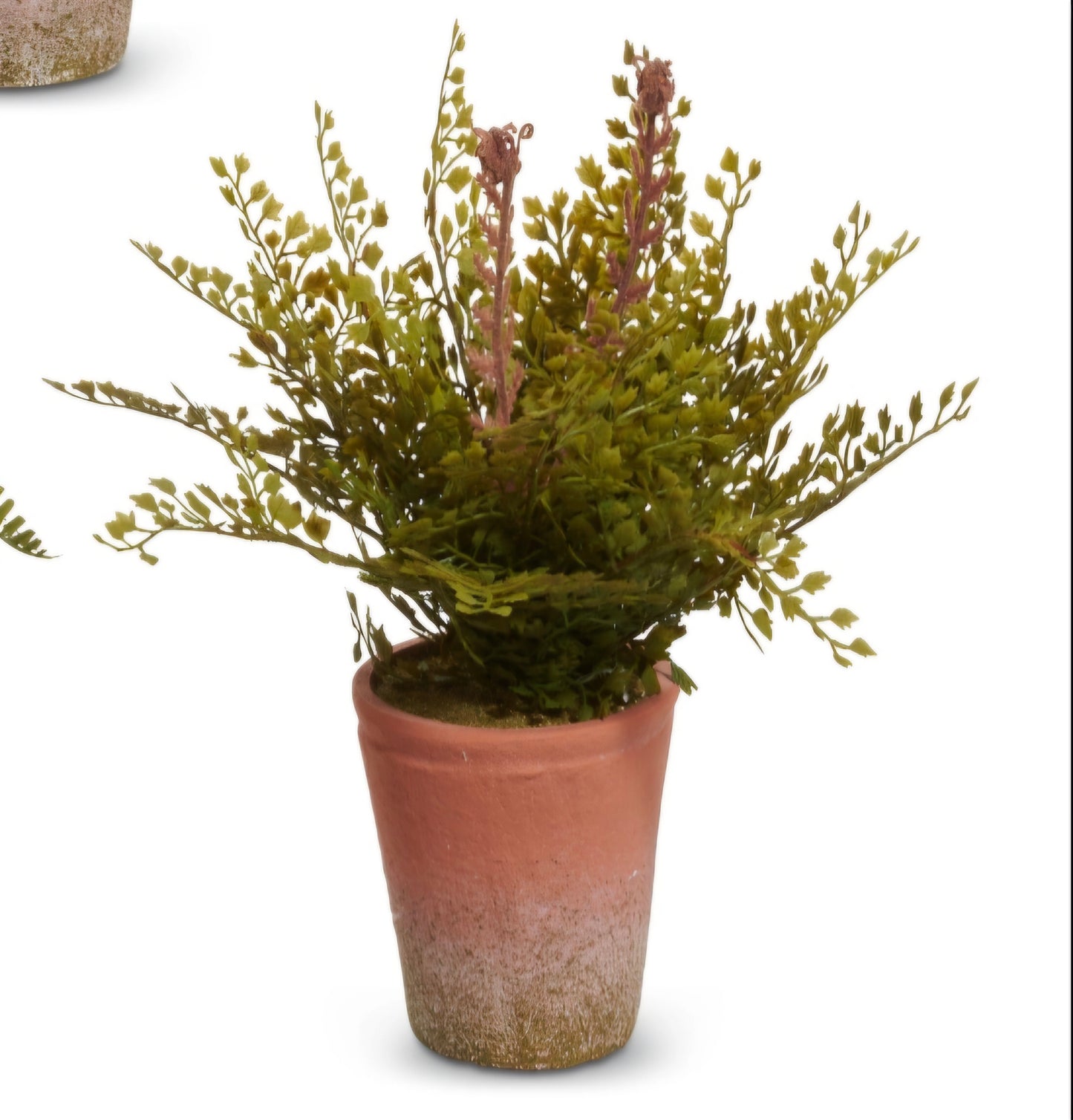 Potted Fern (1) Piece Random