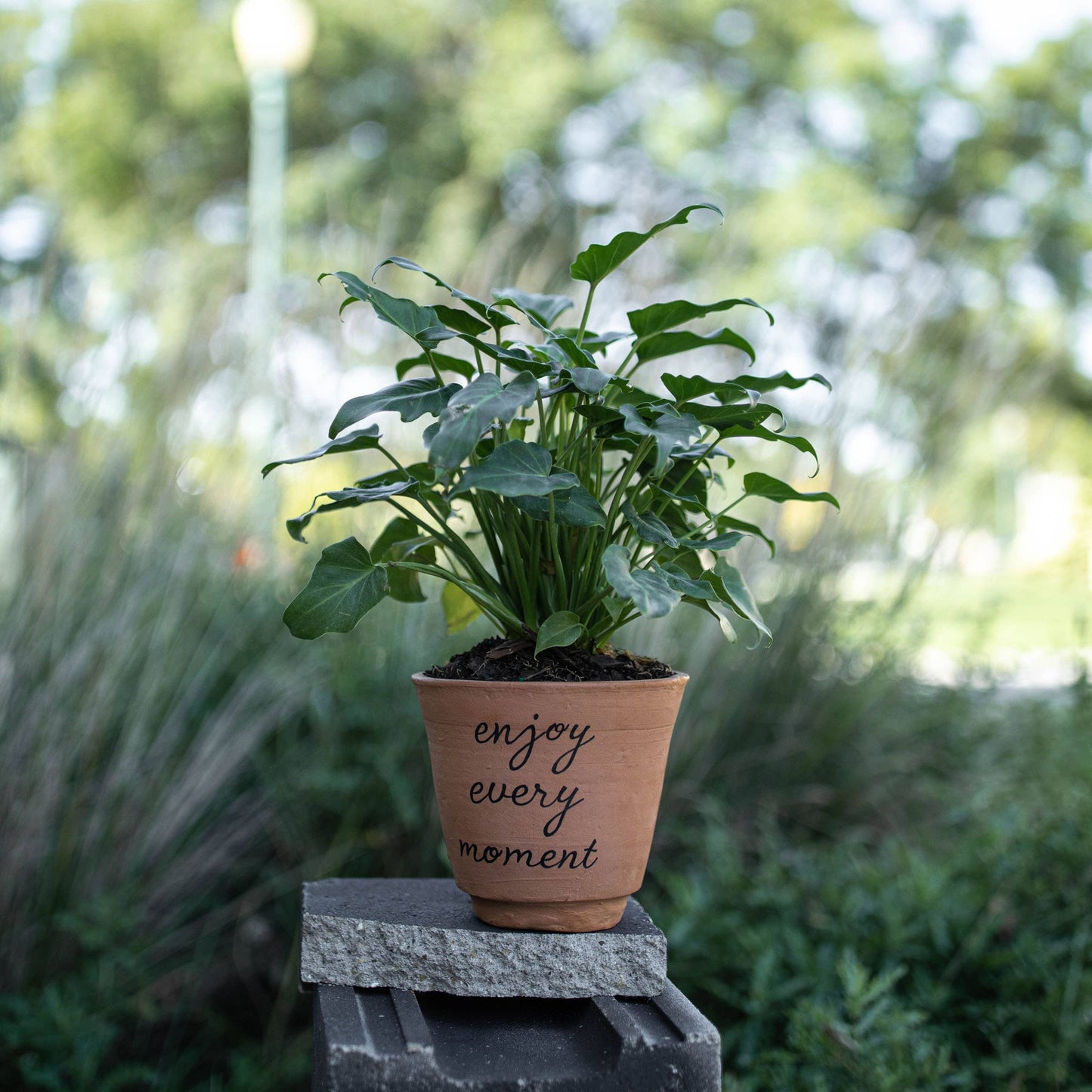 Enjoy Every Moment Terracotta Planter