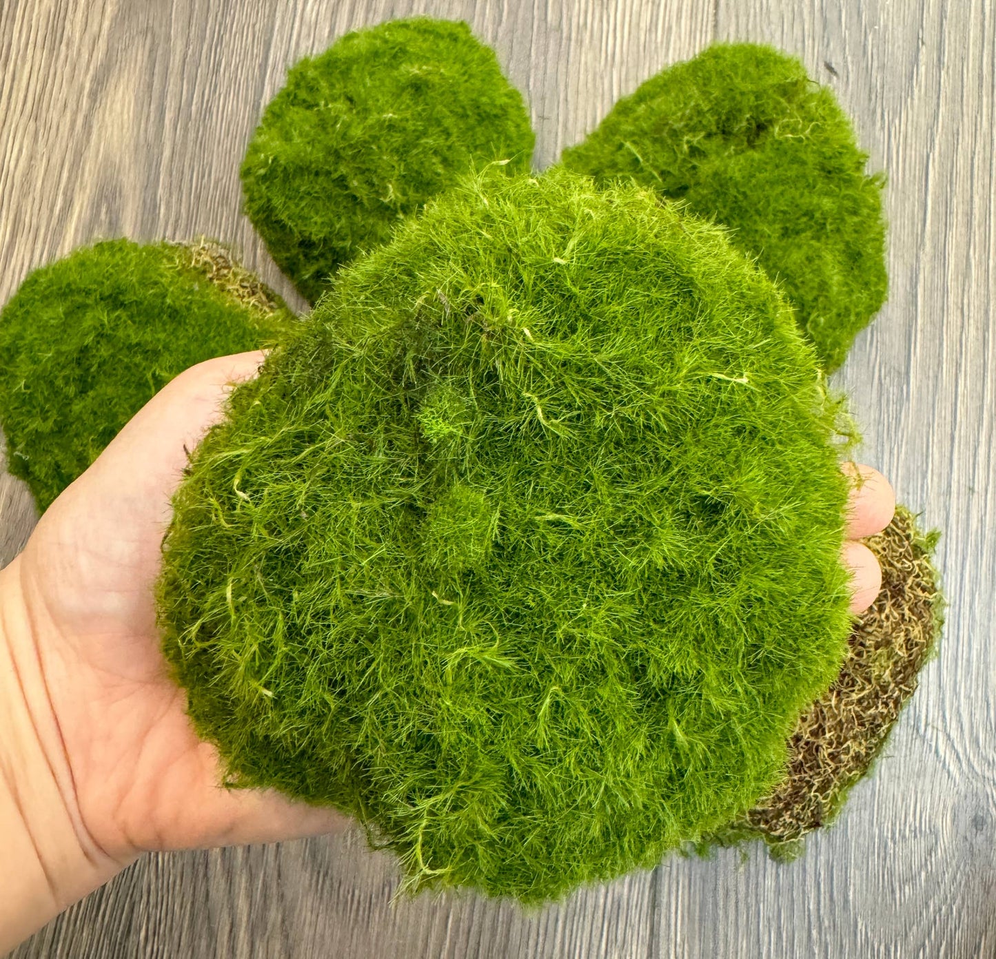 Large Lifelike Mixed Sizes Artificial Moss pad