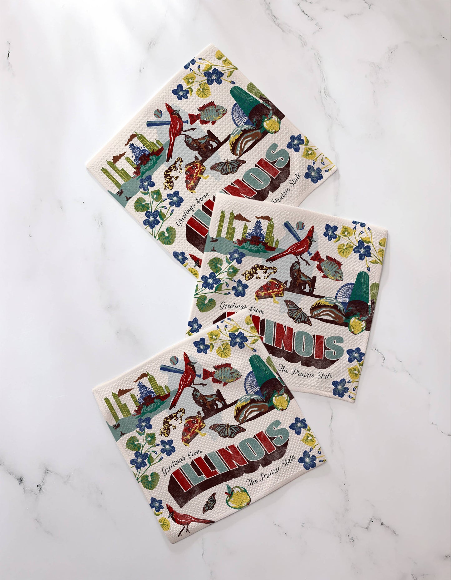 Greetings From Illinois Dishcloth Set