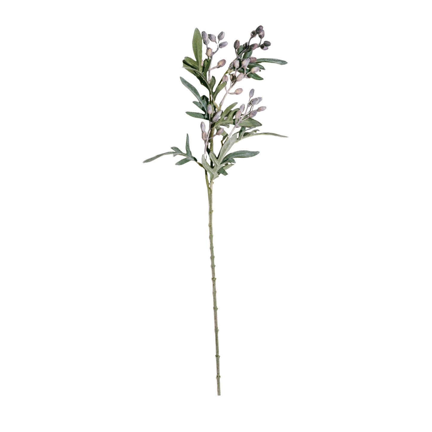 FS129 Eucalyptus Fruit 27"