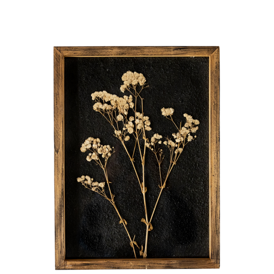 WA103 Botanical Wall Art - Delicate Pressed Flowers 11" x 1" x 15"