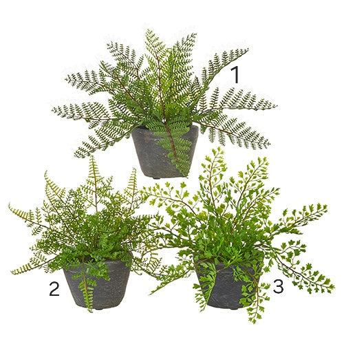 11" Potted Fern 1 piece