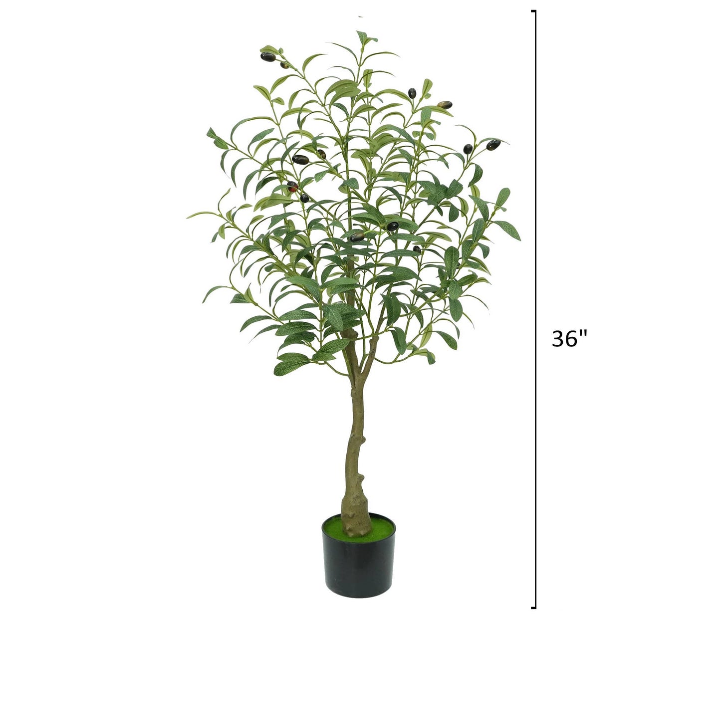 Artificial Realistic Olive Trees-13 sizes