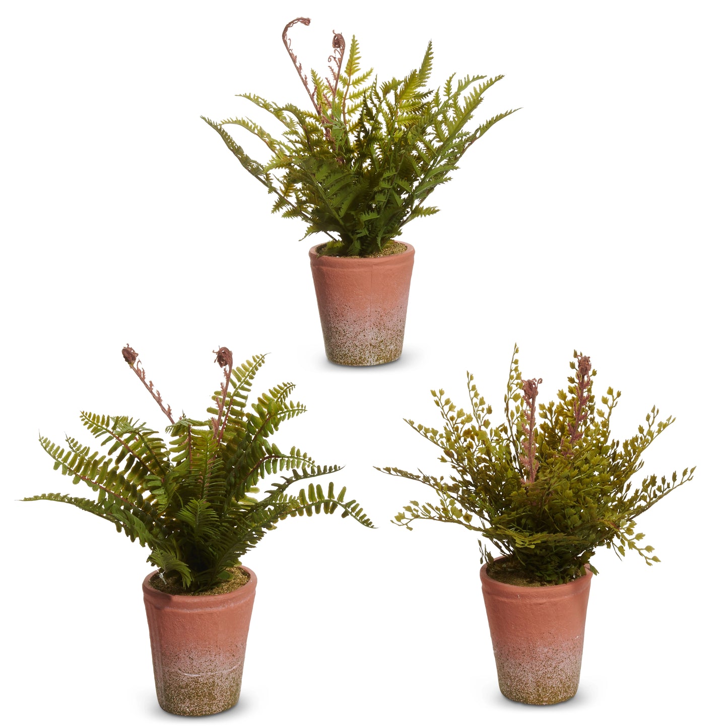 Potted Fern (1) Piece Random