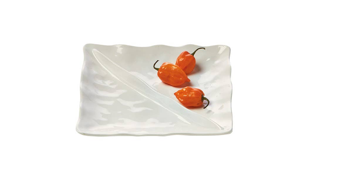 Formoso Divided Dish White Stoneware
