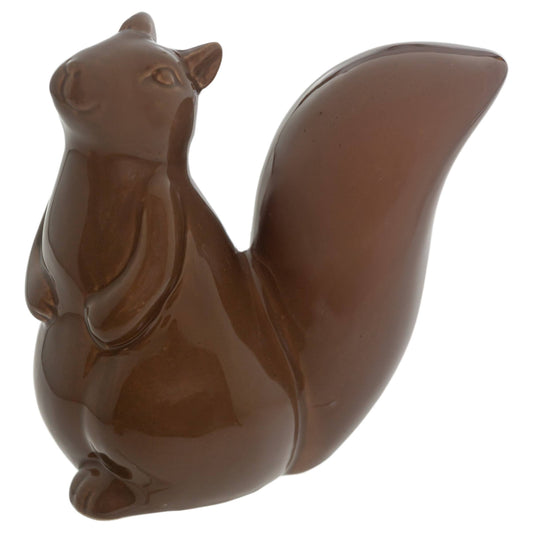 Mocha Squirrel Fall Autumn