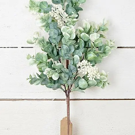 Baby Eucalyptus Seeded Pick