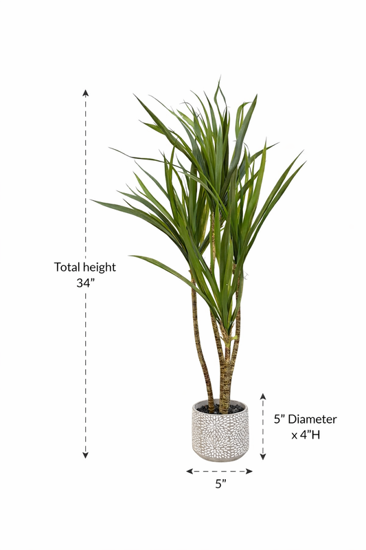 Artificial Dracaena Tree in Ceramic Decorative Pot