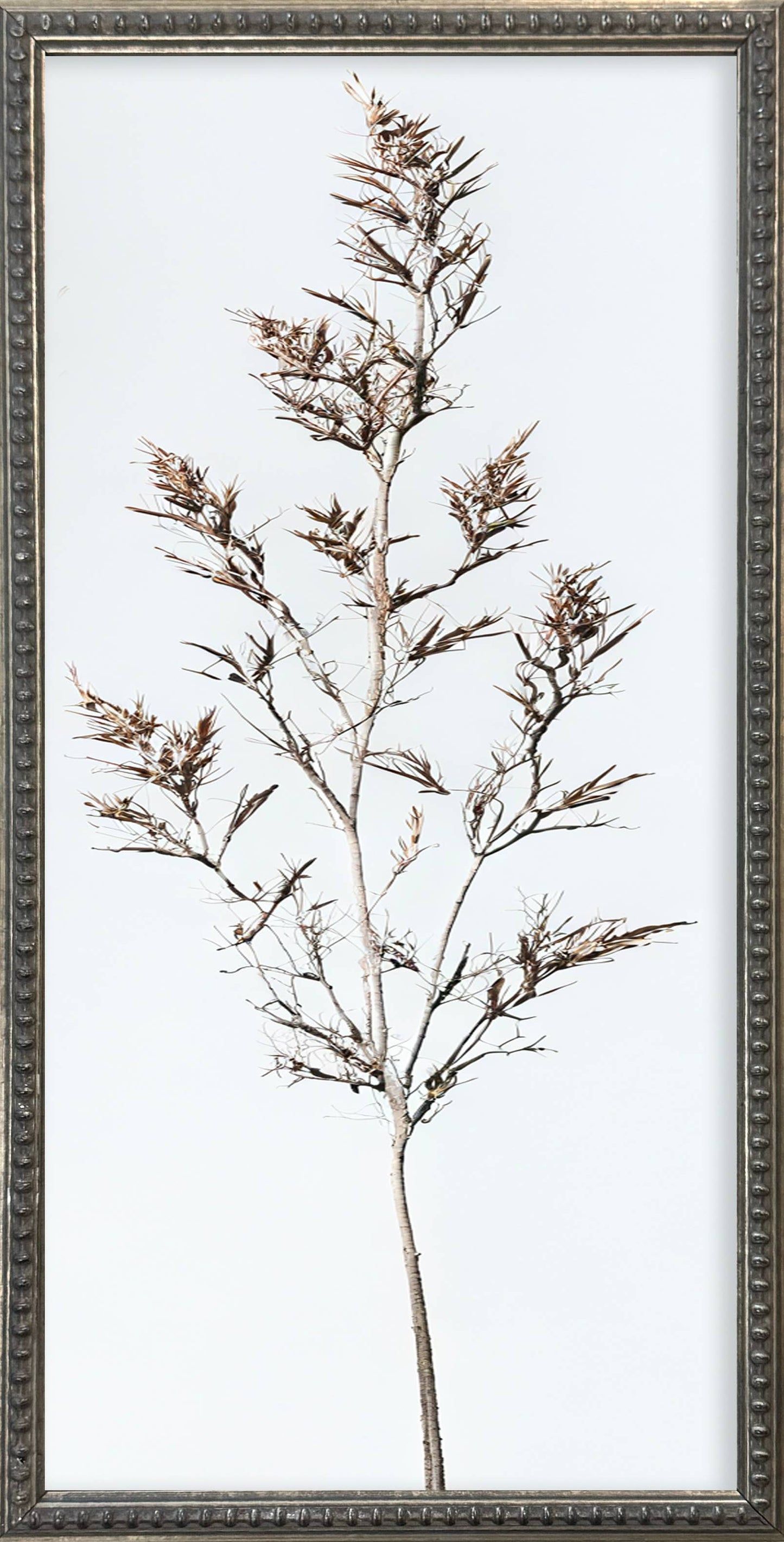 12x24 Whispy Botanical Silver Bead Gallery Frame