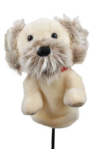 Bucky Dog Club Cover