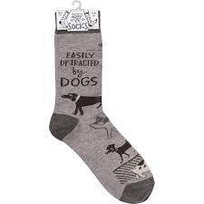 Distracted By Dogs Socks