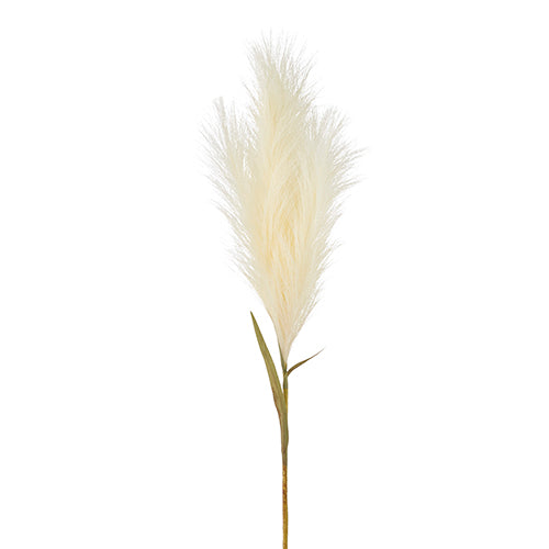 33" Pampas Grass Plume Stem