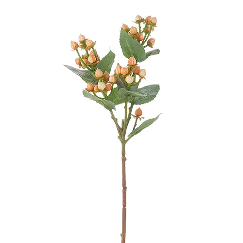 Peach Hypericum Spray