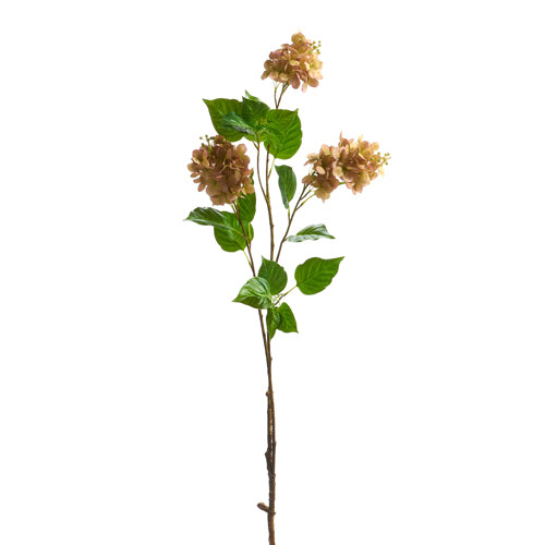 45" Dried Hydrangea Branch