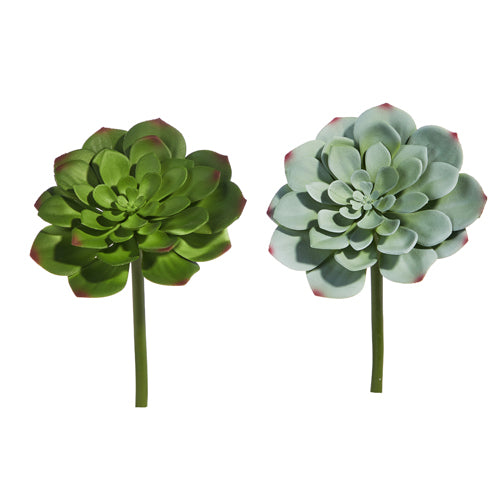 7" Succulent Pick