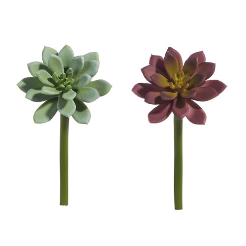 7" Succulent Pick