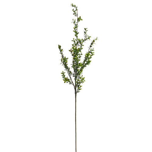 36" MINI BOXWOOD SPRAY