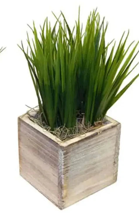 10" Grass in Wooden Container