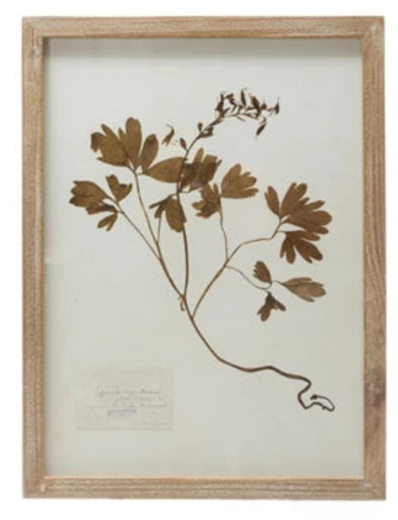 Wood Framed Botanical Wall Art-Assort6