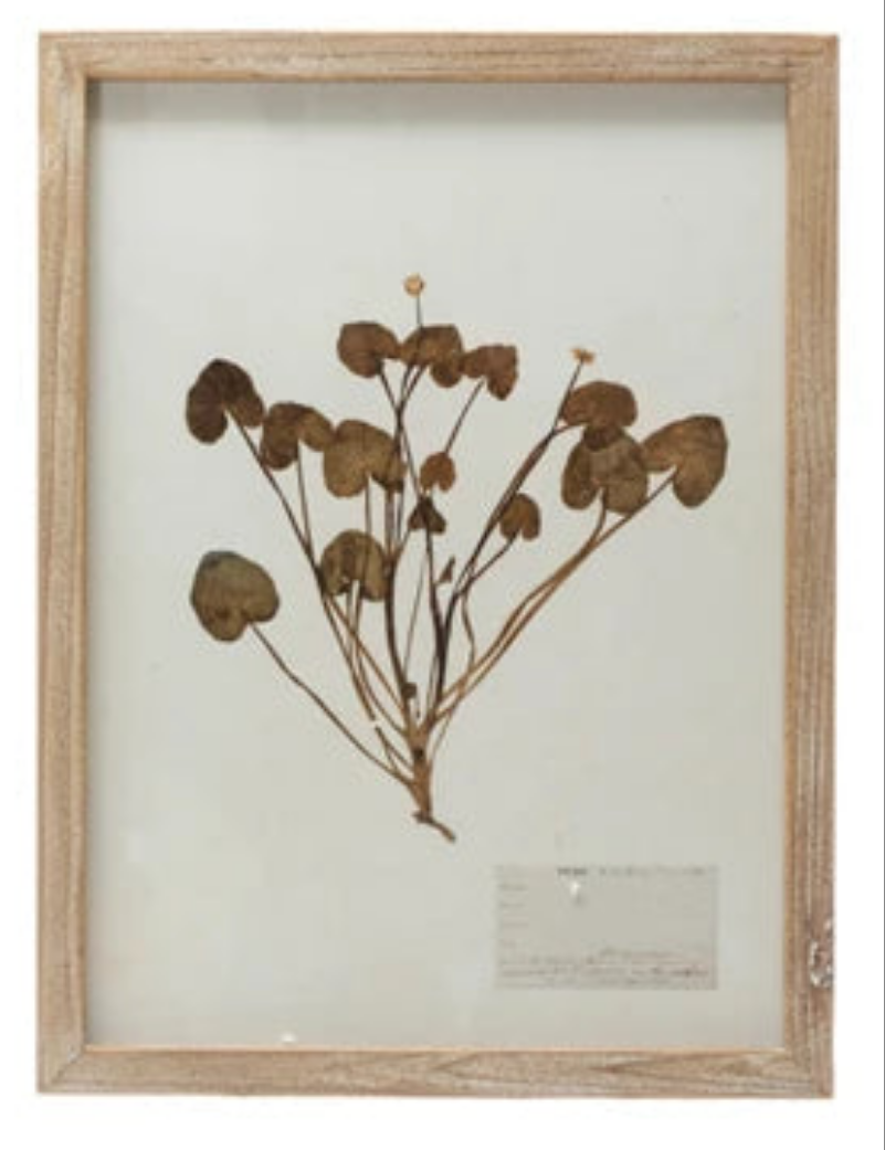 Wood Framed Botanical Wall Art-Assort6