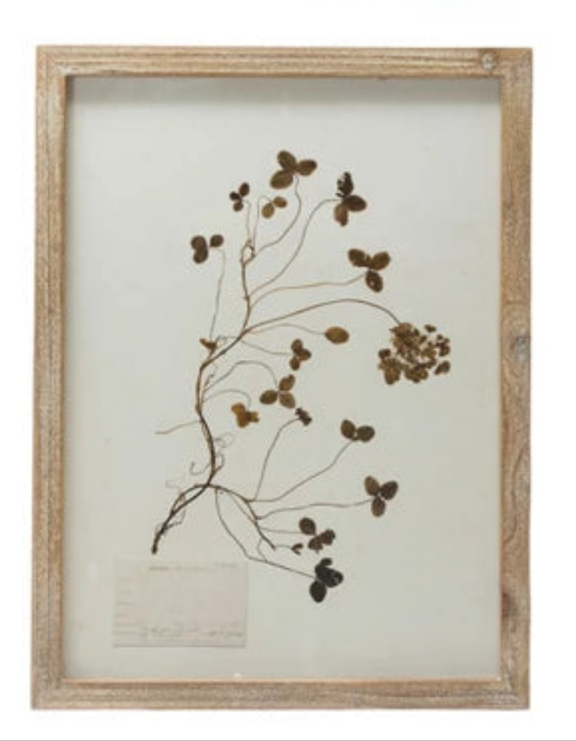 Wood Framed Botanical Wall Art-Assort6