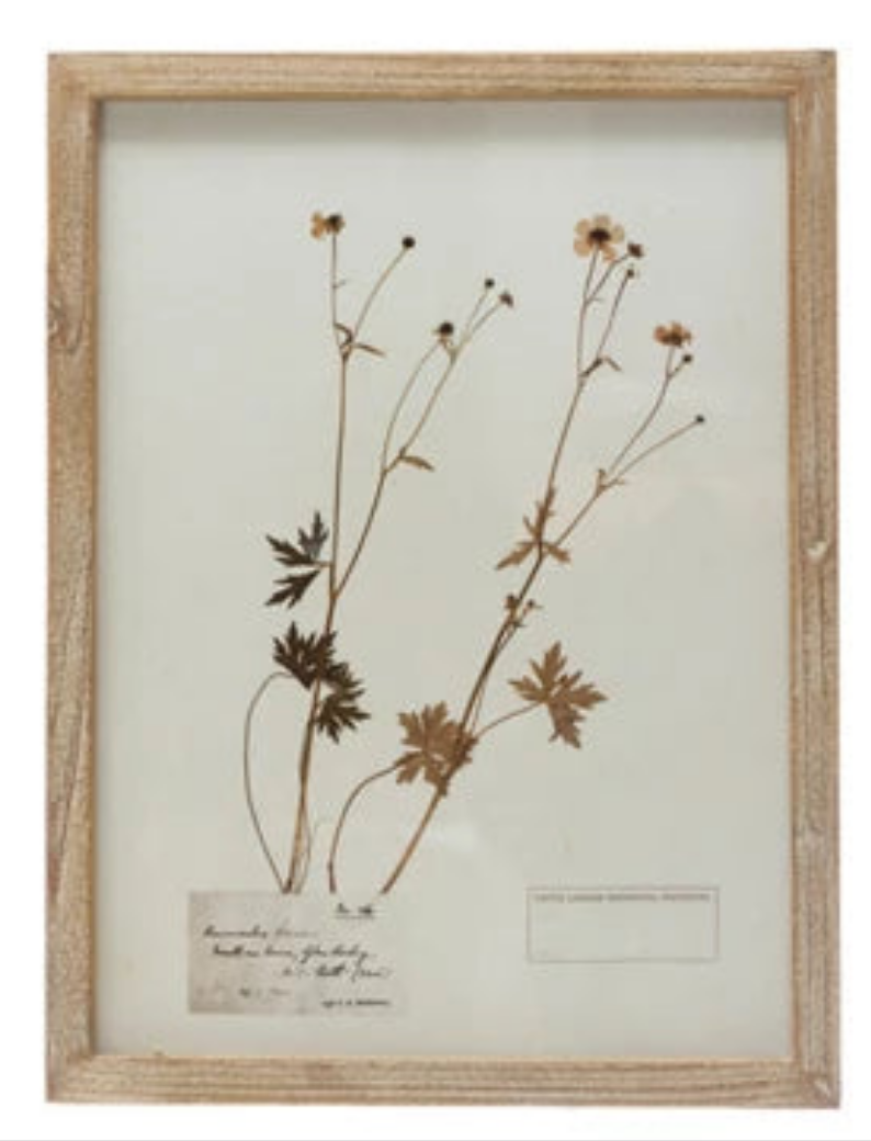 Wood Framed Botanical Wall Art-Assort6