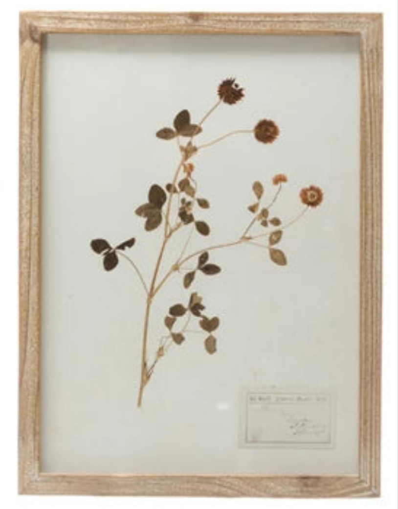 Wood Framed Botanical Wall Art-Assort6