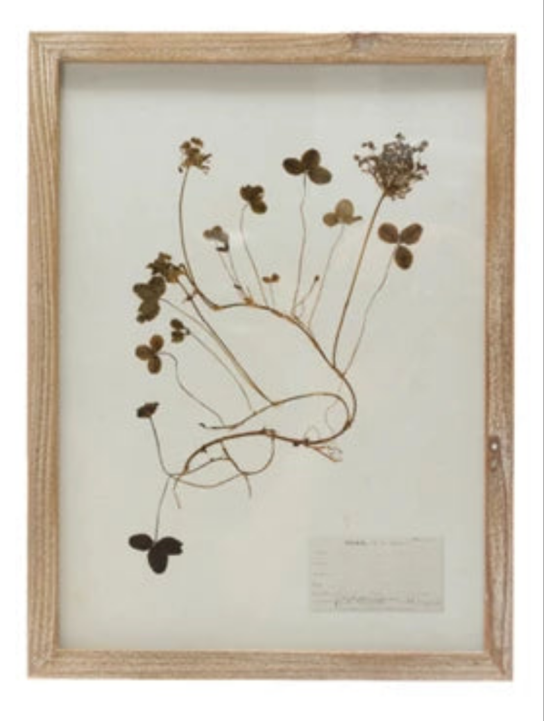 Wood Framed Botanical Wall Art-Assort6