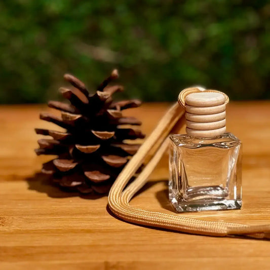 Bird of Paradise  Car Diffuser: Individually Sealed Packaging