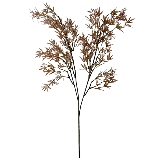 Nandina 35"