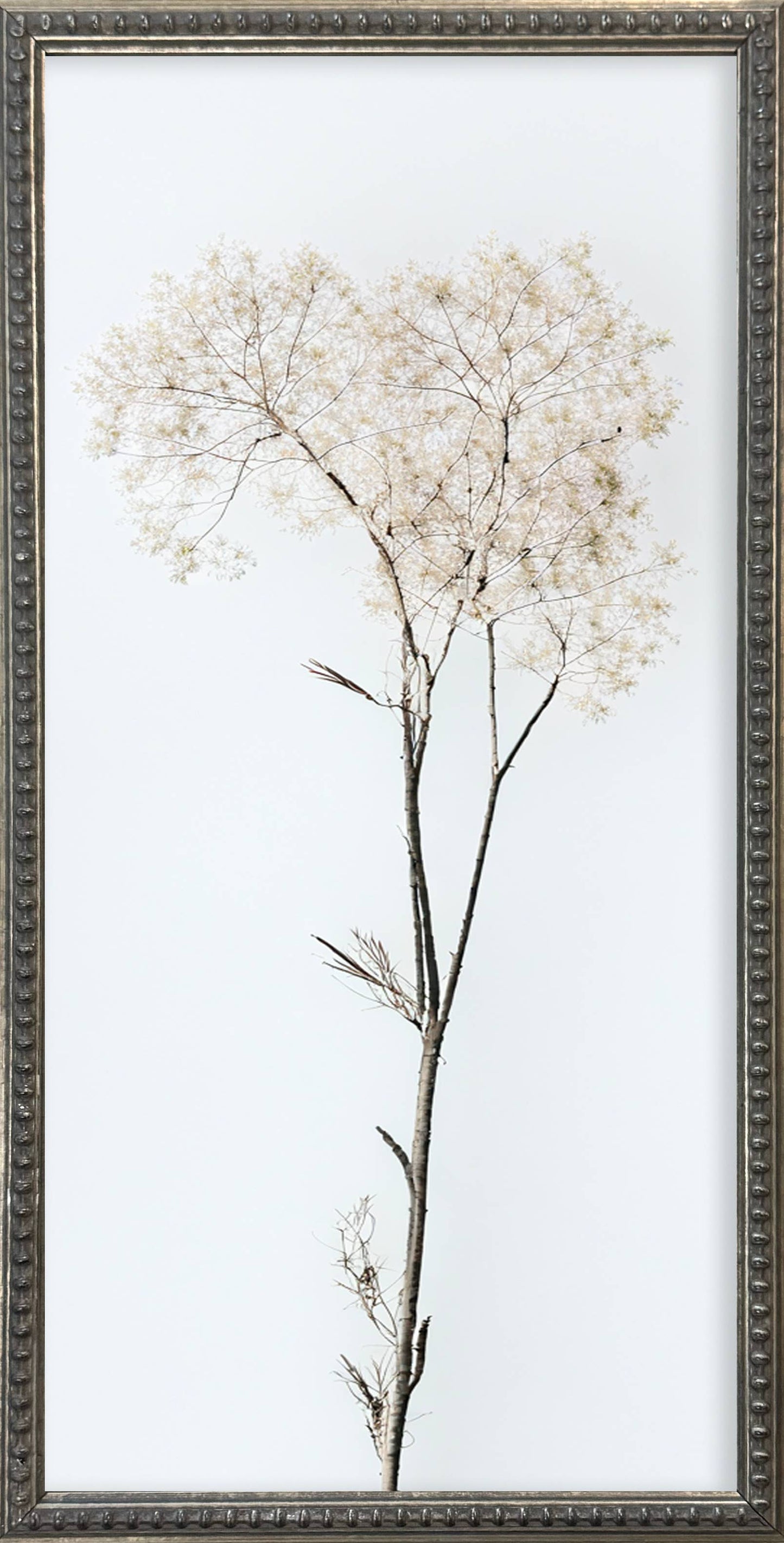 12x24 Whispy Botanical Silver Bead Gallery Frame
