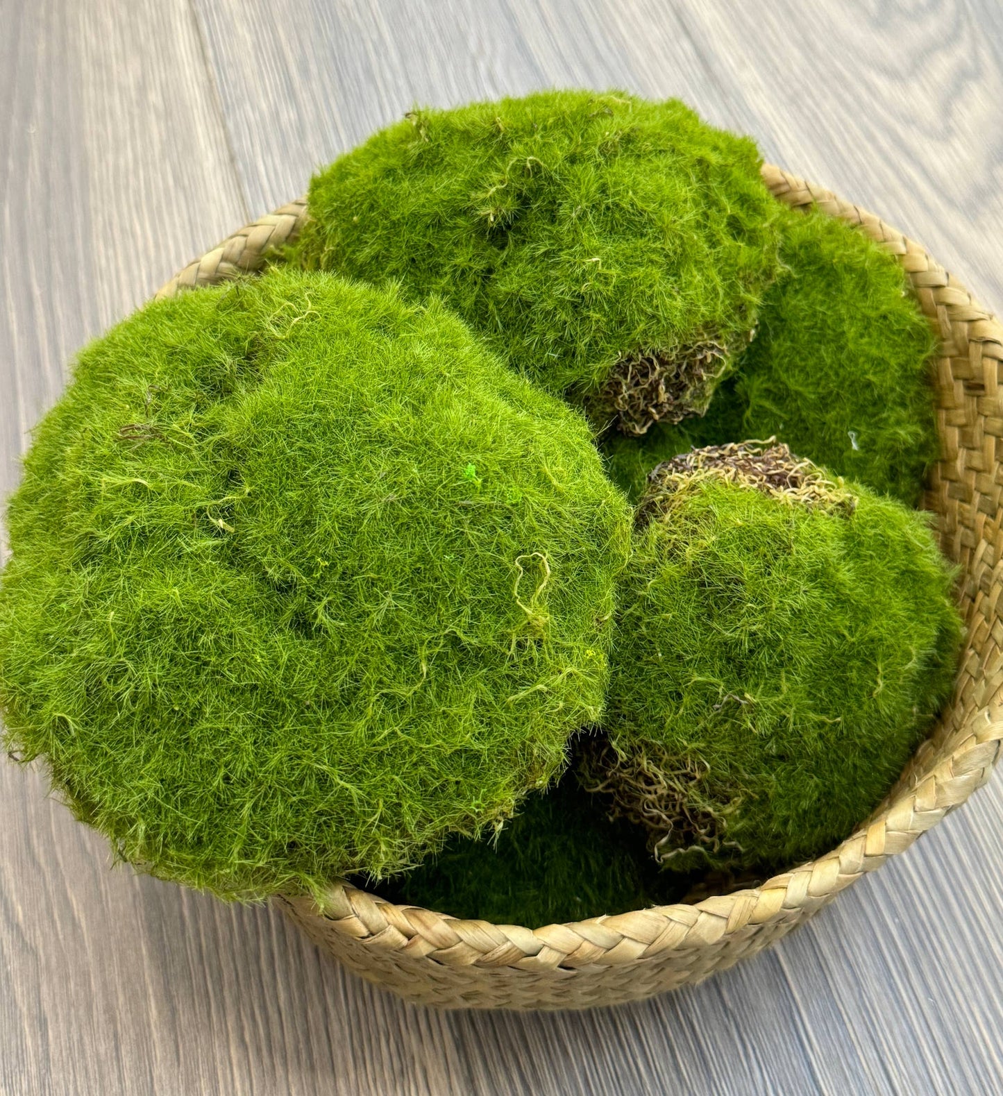 Large Lifelike Mixed Sizes Artificial Moss pad