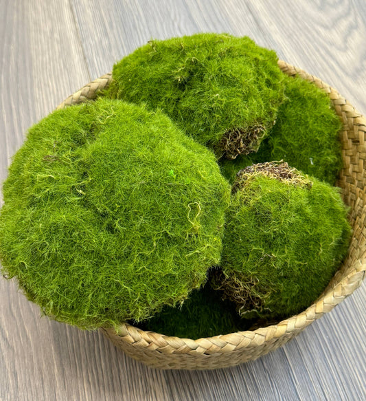 Large Lifelike Mixed Sizes Artificial Moss pad