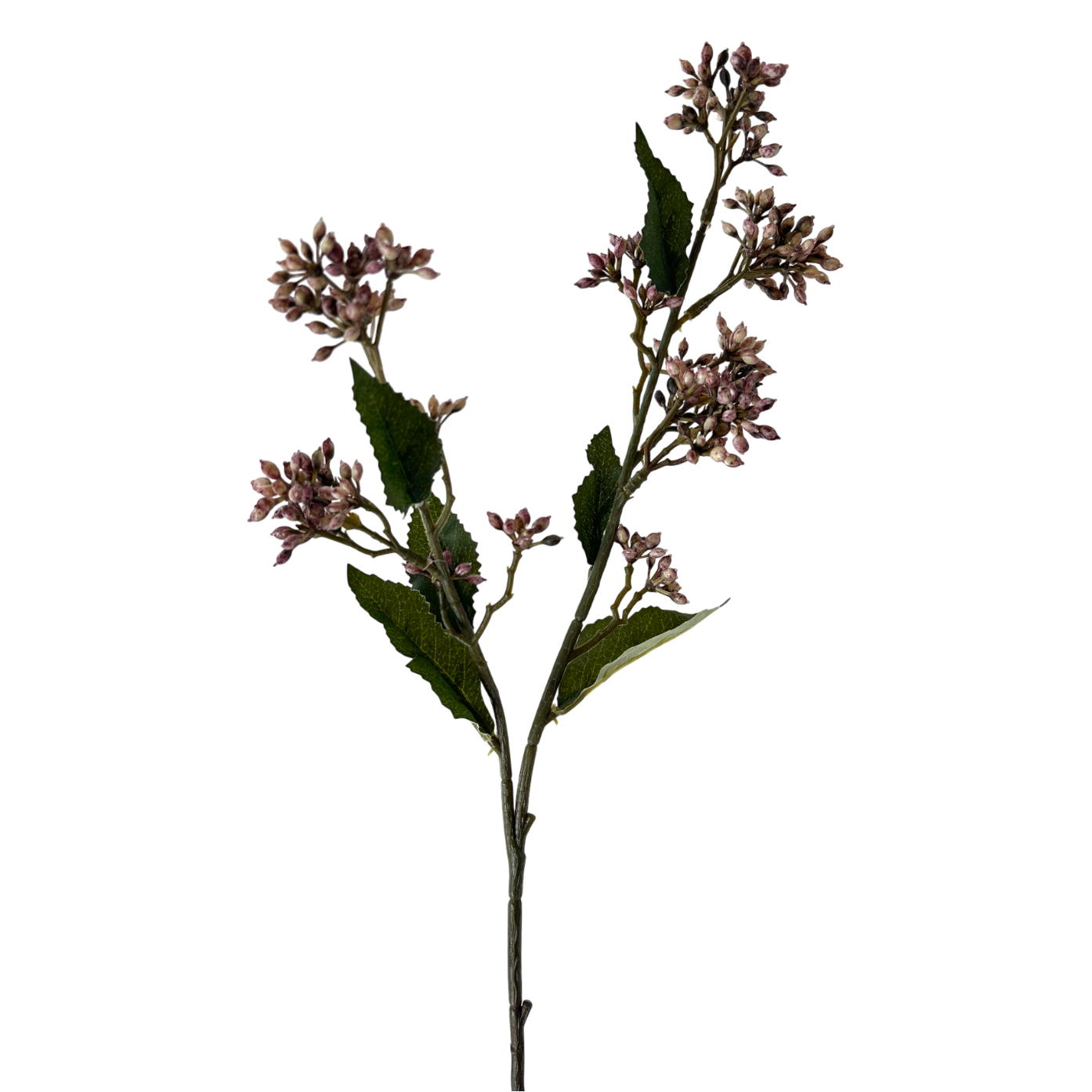 FS114 Eupatorium 22.75" - Purple