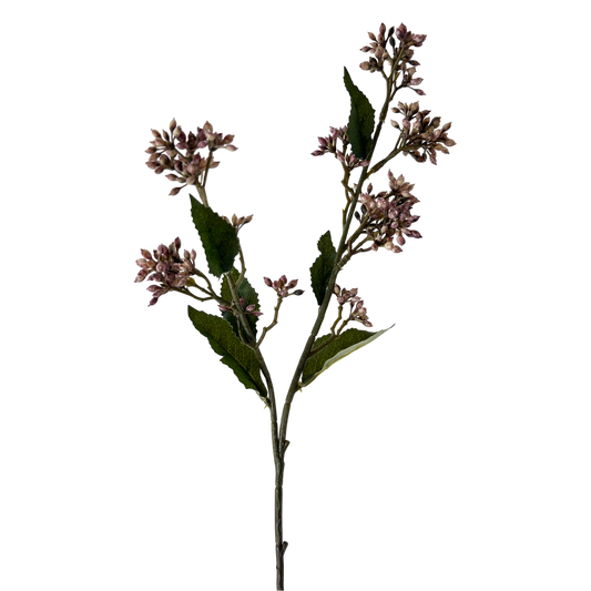 Eupatorium 22.75" - Purple